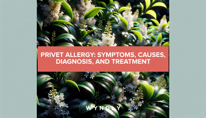 Privet Allergy: Identifying Symptoms And Effective Treatments (2024 ...