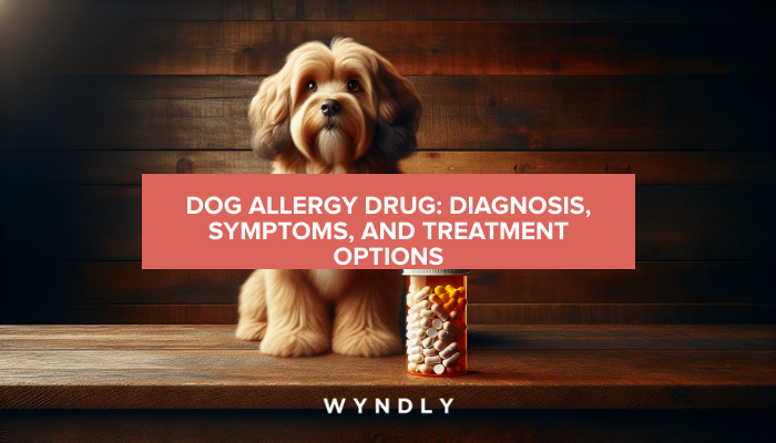 Dog Allergy Diagnosis Symptoms and Treatment Options 2024 Wyndly