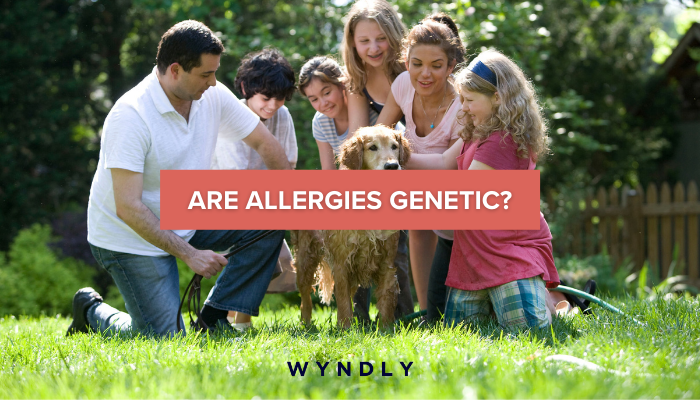 are-allergies-genetic-2023-wyndly