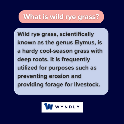 What does WILD mean? - WILD Definitions