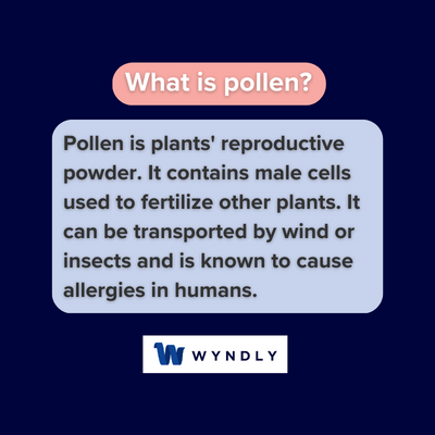 How allergens in pollen help plants do more than make you sneeze