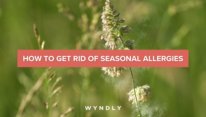 best-ways-to-get-rid-of-seasonal-allergies-permanently-2023-wyndly