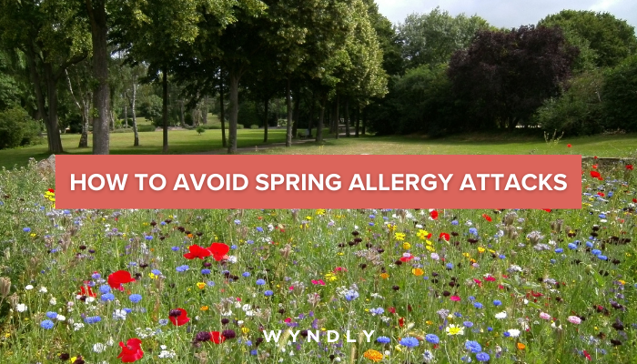 Spring Allergies Symptoms Causes And Treatments 2024 And Wyndly 6692
