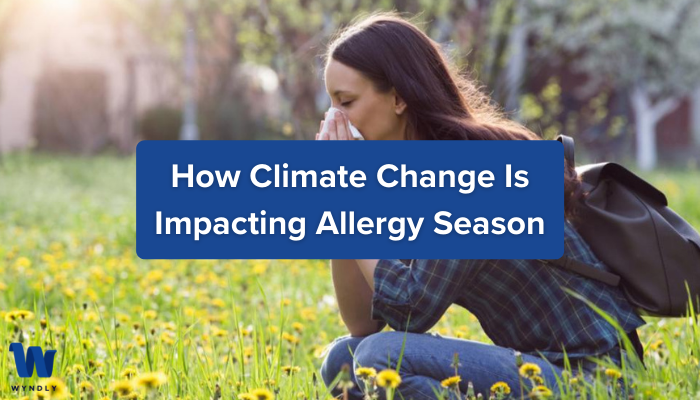 Pollen season is getting longer and more intense with climate change –  here's what allergy sufferers can expect in the future