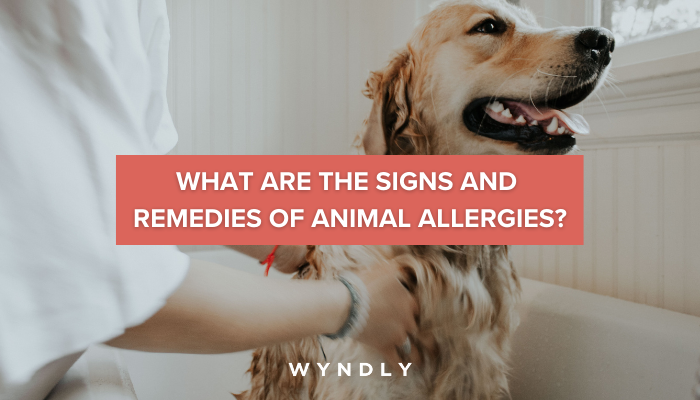 Allergy doctor clearance for dogs