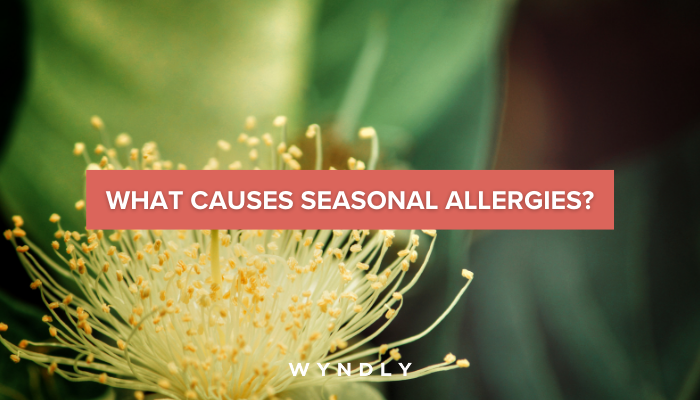 Allergy Season Causes And Treatments 2024 And Wyndly 0517