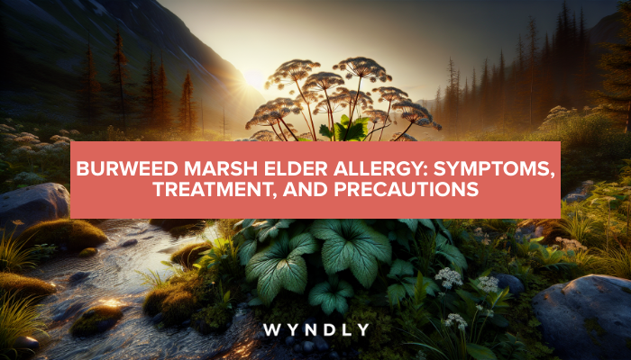 Burweed Marsh Elder Allergy: Identifying Symptoms and Treatment (2024 ...