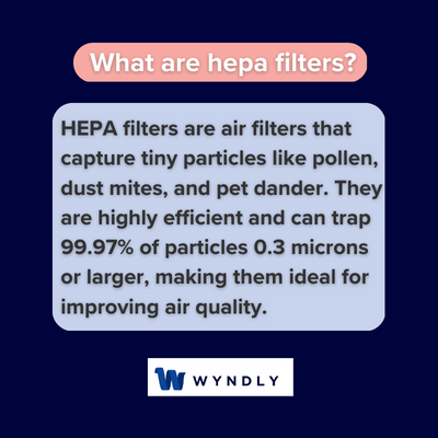 Hepa Filters Definition: What Are Hepa Filters? (2024) & Wyndly