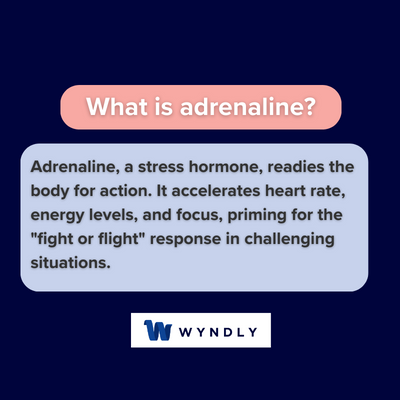 Adrenaline Definition: What Is Adrenaline? (2024) & Wyndly
