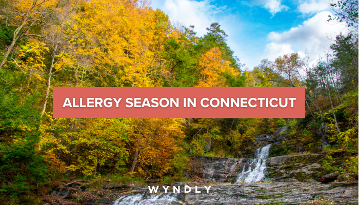 When Is Connecticut Allergy Season? Start, Peak, and End (2023) & Wyndly