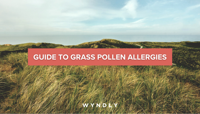 Grass Pollen Allergy Cause Symptoms Treatment 2023 And Wyndly 9220