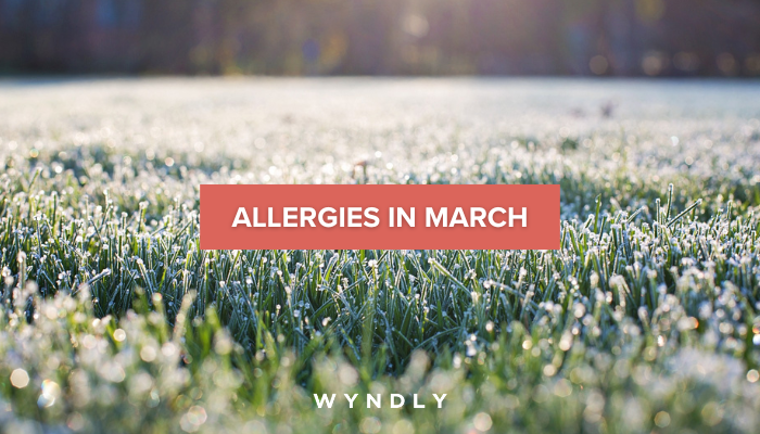 Allergies In March: Symptoms, Diagnosis, And Treatment (2024) & Wyndly