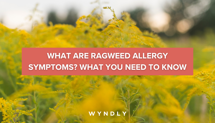 Ragweed Allergy Symptoms Causes Diagnosis And Treatment 2024 And Wyndly 2917