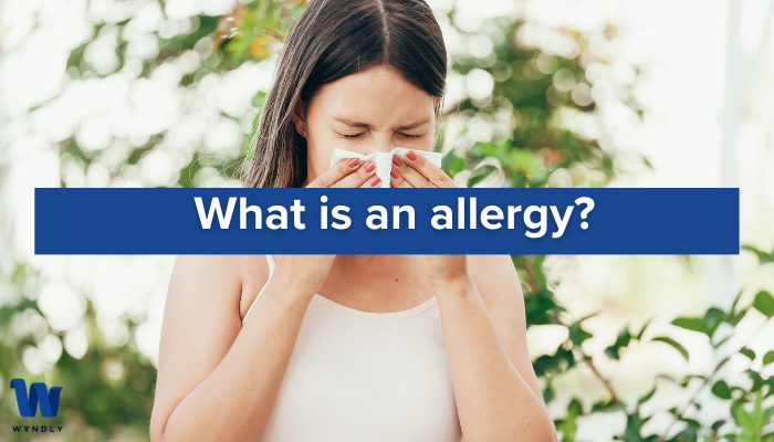 What Is an Allergy and How Does Your Body React to It? (2024) & Wyndly