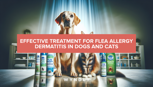 Dog flea allergy relief best sale