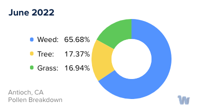 Antioch, CA Monthly Pollen Breakdown