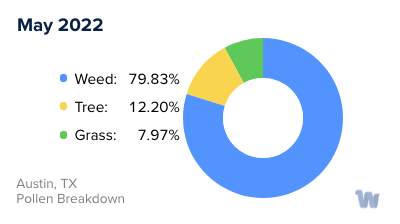 Austin, TX Monthly Pollen Breakdown