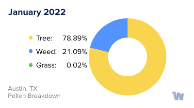 Austin, TX Monthly Pollen Breakdown