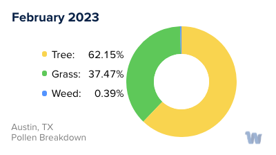 Austin, TX Monthly Pollen Breakdown