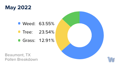 Beaumont TX Pollen and Allergy Trends for Summer 2023 Wyndly