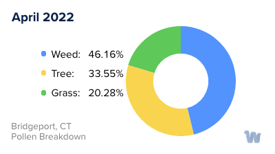 Bridgeport, CT Monthly Pollen Breakdown