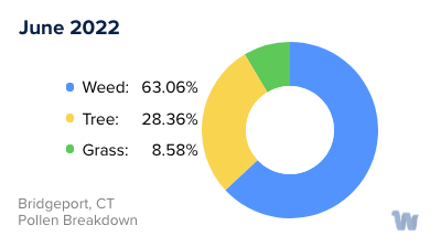 Bridgeport, CT Monthly Pollen Breakdown