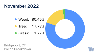 Bridgeport, CT Monthly Pollen Breakdown