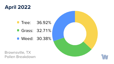 Brownsville, TX Monthly Pollen Breakdown