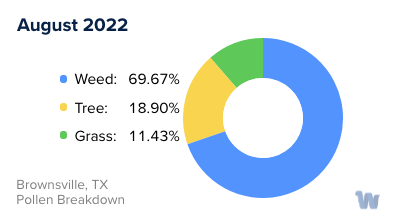 Brownsville, TX Monthly Pollen Breakdown