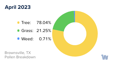 Brownsville, TX Monthly Pollen Breakdown