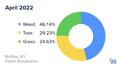 Buffalo, NY Monthly Pollen Breakdown