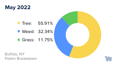 Buffalo, NY Monthly Pollen Breakdown