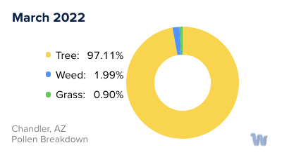 Chandler, AZ Monthly Pollen Breakdown