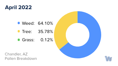 Chandler, AZ Monthly Pollen Breakdown