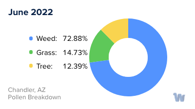 Chandler, AZ Monthly Pollen Breakdown