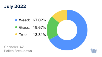 Chandler, AZ Monthly Pollen Breakdown