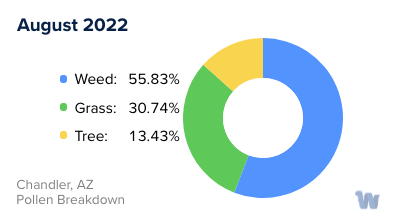 Chandler, AZ Monthly Pollen Breakdown