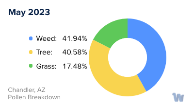 Chandler, AZ Monthly Pollen Breakdown