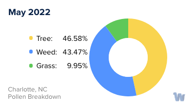 Charlotte, NC Monthly Pollen Breakdown