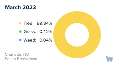 Charlotte, NC Monthly Pollen Breakdown