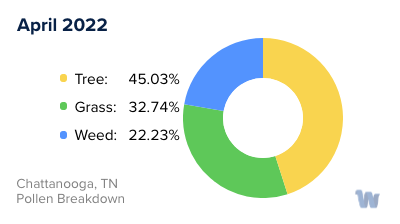 Chattanooga, TN Monthly Pollen Breakdown