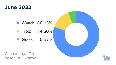 Chattanooga, TN Monthly Pollen Breakdown