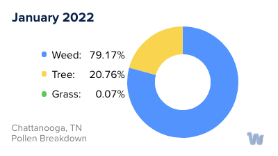 Chattanooga, TN Monthly Pollen Breakdown