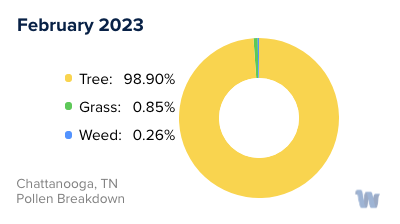 Chattanooga, TN Monthly Pollen Breakdown