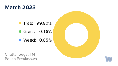 Chattanooga, TN Monthly Pollen Breakdown