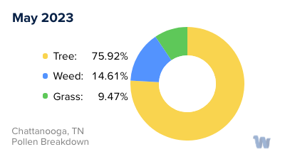 Chattanooga, TN Monthly Pollen Breakdown