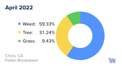 Chico, CA Monthly Pollen Breakdown