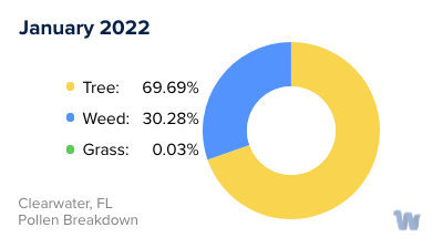 Clearwater, FL Monthly Pollen Breakdown