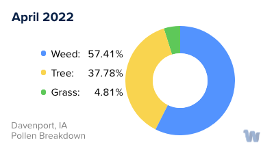 Davenport, IA Monthly Pollen Breakdown