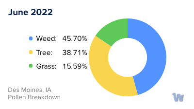 Des Moines, IA Monthly Pollen Breakdown